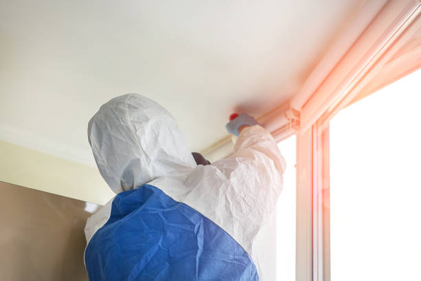 Reliable Belpre, OH Mold Inspection Solutions